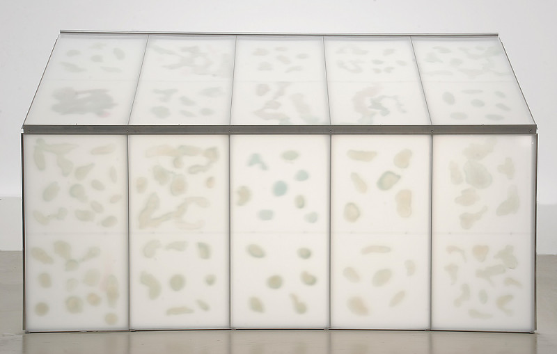 GREENHOUSE 'GREENHOUSE', 2006, Reagenzien aus Rotwein und Kupferchlorid auf Floatglas, Perspex, Aluminiumkonstruktion, 350x180x200 cm