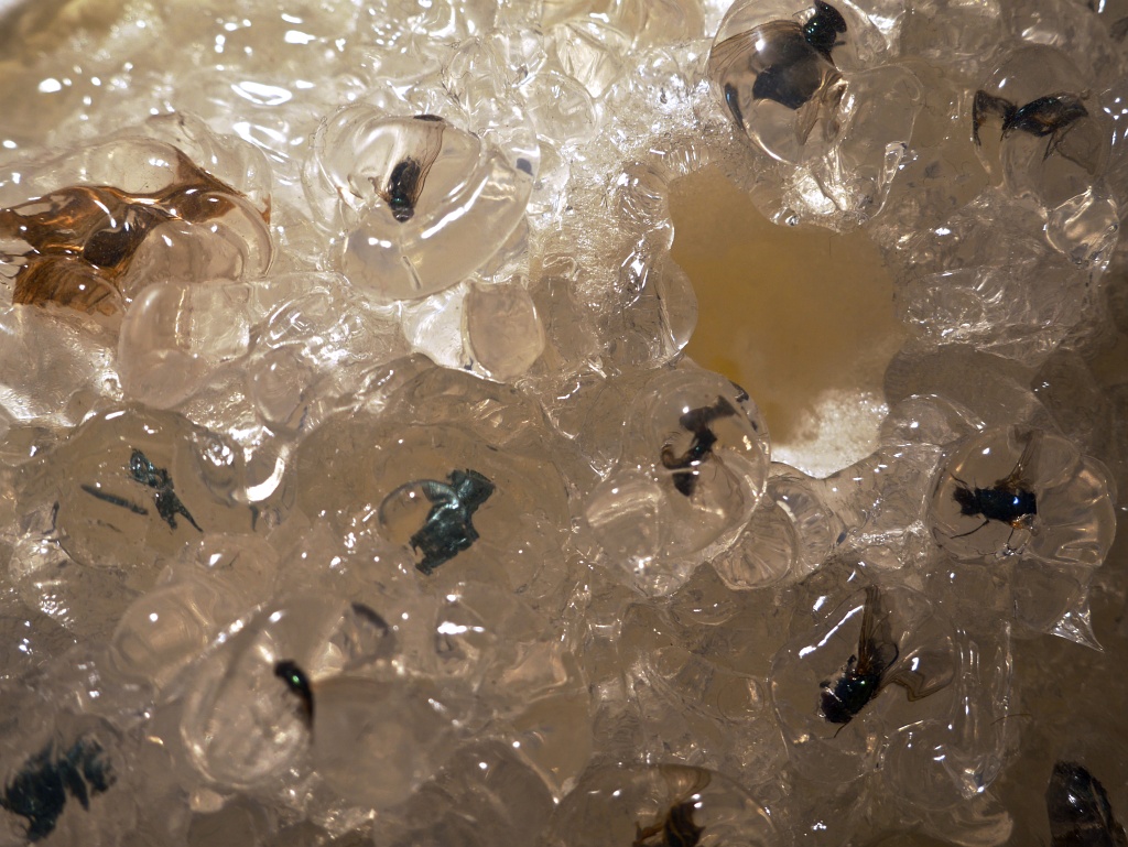 victims-of-transparency_10