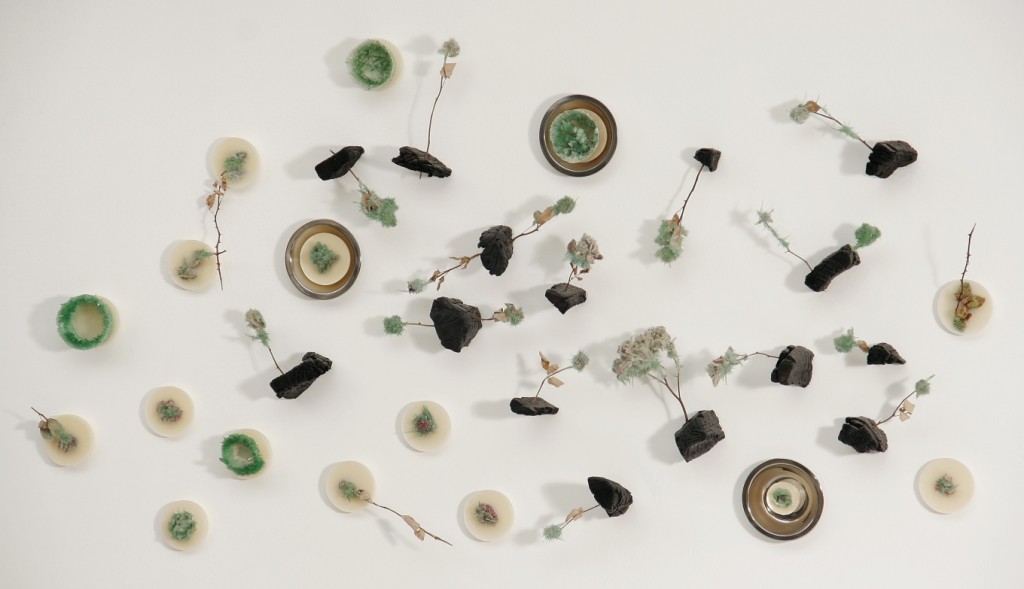 'MEIN ROSENGARTEN', 2004, Bienenwachs, Edelstahl, Rosen, verkohltes Buchenholz, Phosphatkristallisationen, 300x200cm