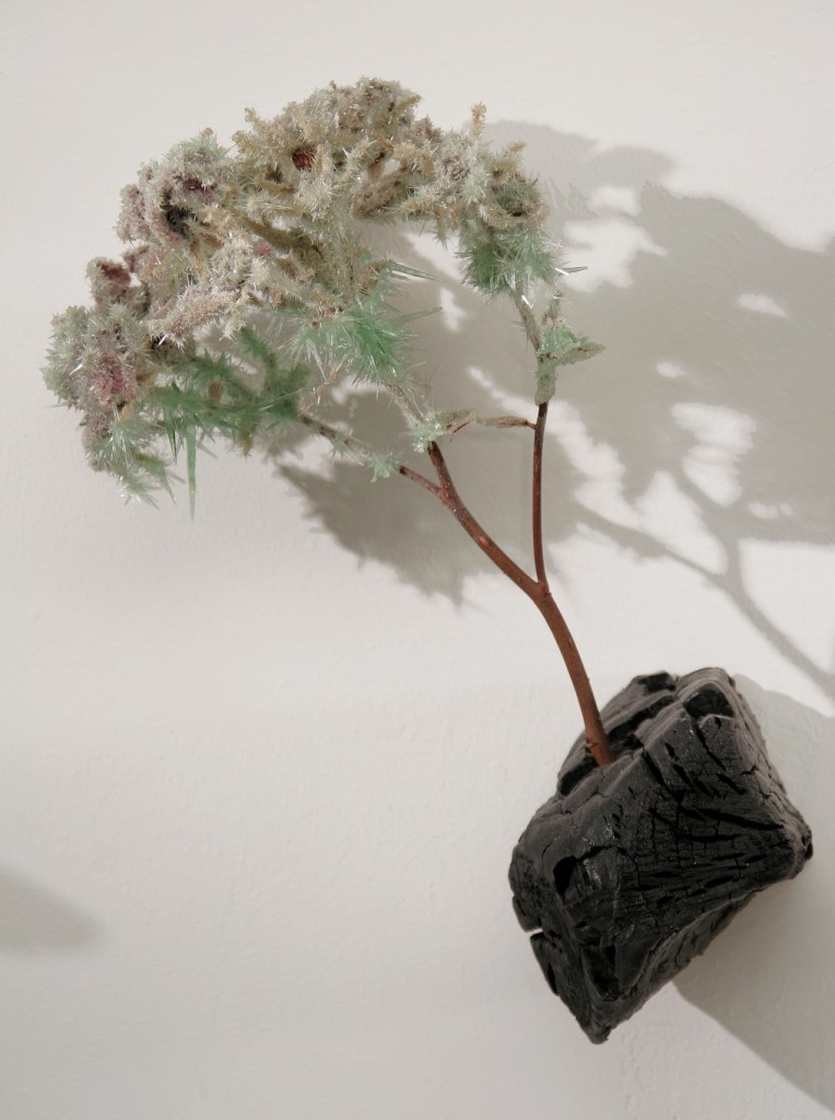 'MEIN ROSENGARTEN', 2004, Bienenwachs, Edelstahl, Rosen, verkohltes  Buchenholz, Phosphatkristallisationen, 300x200cm